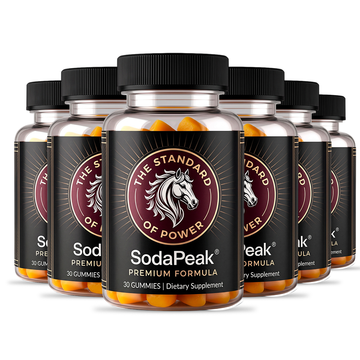 6 Bottles SodaPeak